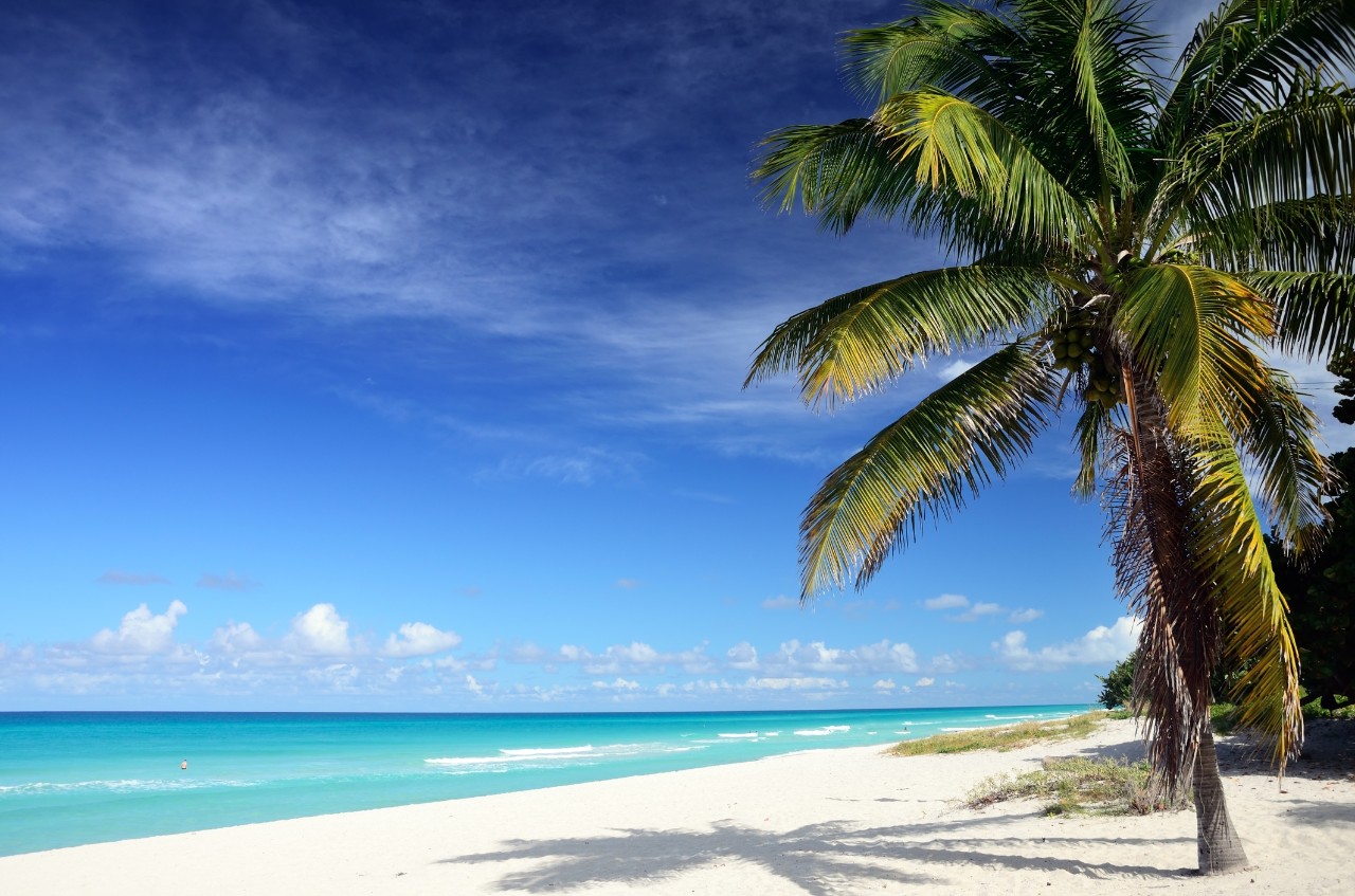 VARADERO - 9 DIAS - SALIDAS de FEBRERO A ABRIL 2026