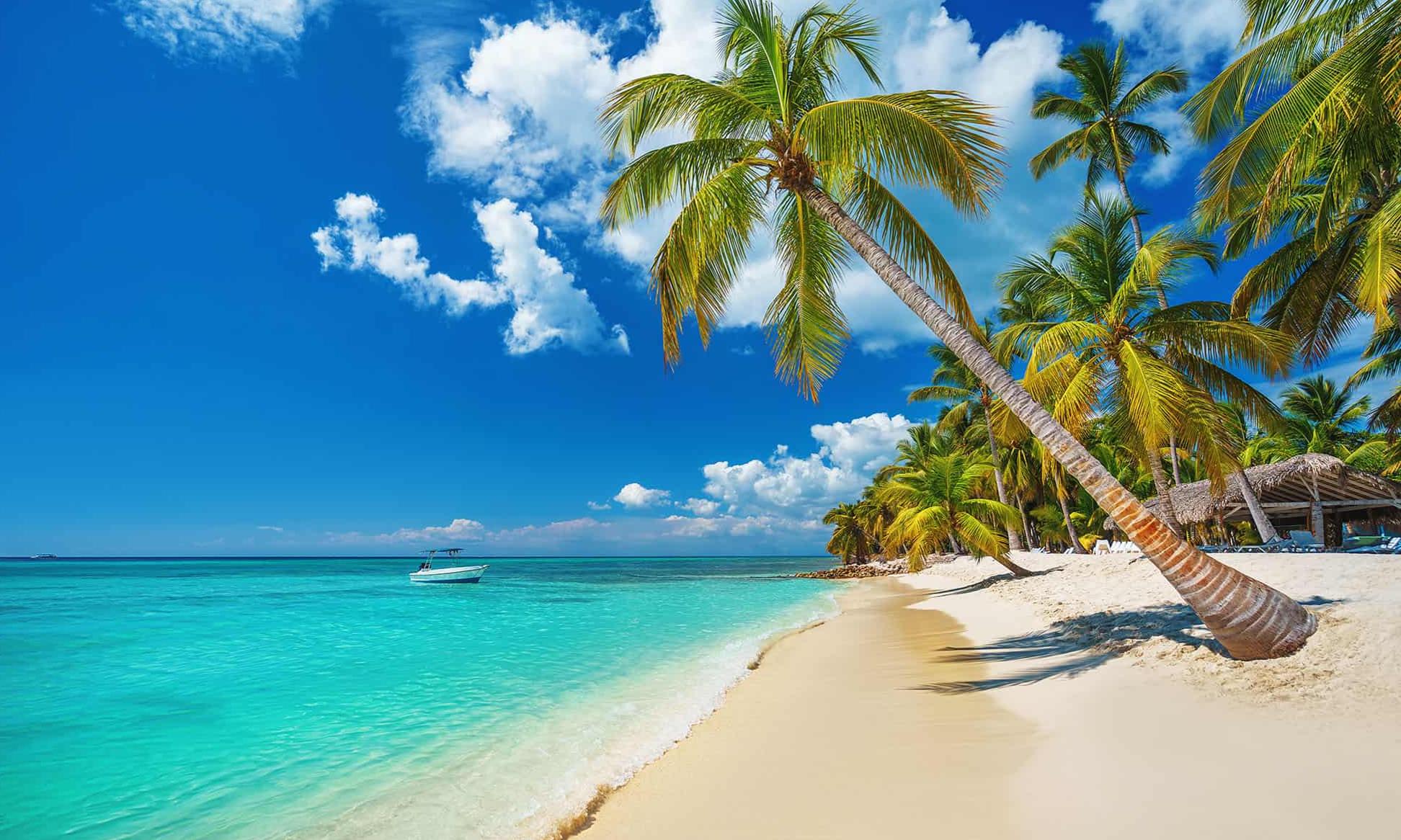 PUNTA CANA - 9 DIAS - SALIDAS de ENERO a MARZO 2026