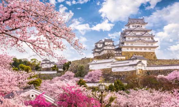 CONTRASTES DE JAPON- Salidas 2026