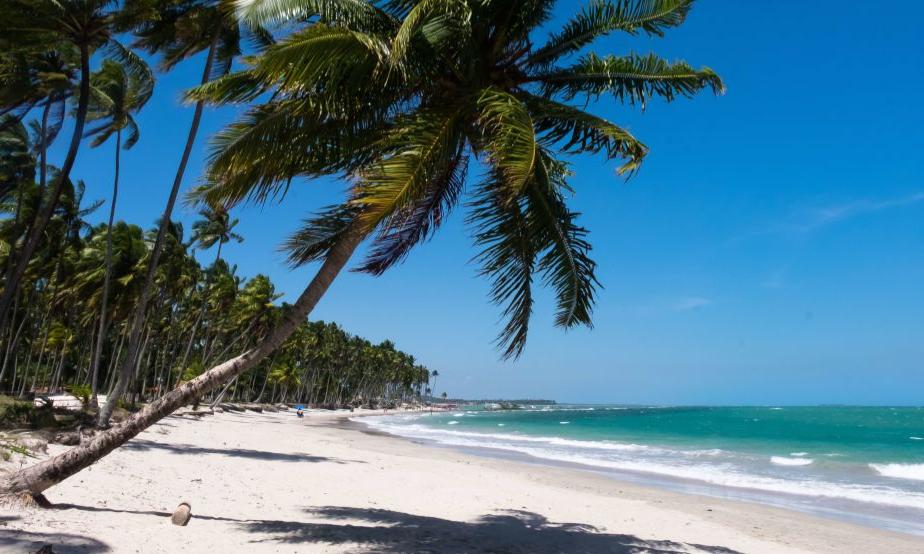 PRAIA DO FORTE - SALIDAS de ENERO A FEBRERO 2026
