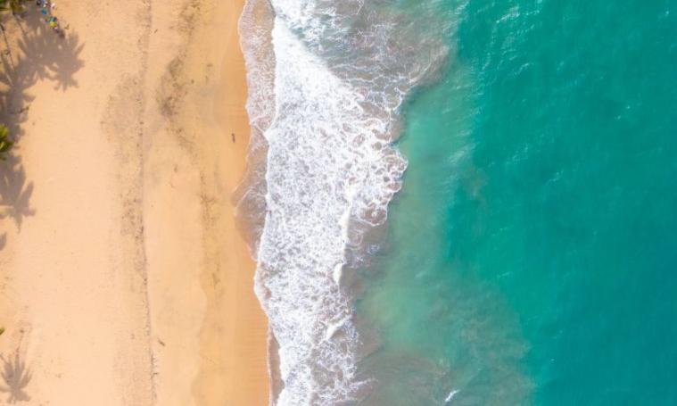 MICHES Y PUNTA CANA - 10 DIAS -  Salidas 2026